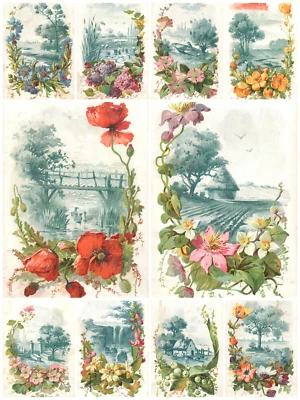 13. Set of 10 antique Victorian flowers chromos chocolate Moreuil PARIS pre-1900 - Image 1 of 4