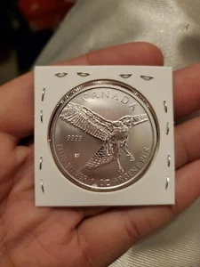Kanada 2015 1 oz Silber Rotschwanzfalke Greifvögel - Bild 1 von 2