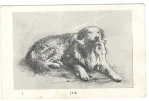 Publicidad de postal de perro para personajes indios antiguos de Ezra Meeker Oregon Trails - Imagen 1 de 2