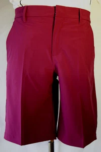 J.Lindeberg True Shorts Kurze Hose Bermuda Herren Micro Stretchpflaume Gr 30 - Picture 1 of 4