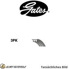 DIE KEILRIPPENRIEMEN FÜR RENAULT CLIO I B C57 5 357 E7J 718 E7J 719 E7J 754