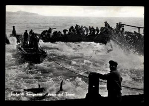 FAVIGNANA pesca del tonno - Picture 1 of 1