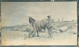 1911 Original photo Lancashire Royal Artillery Volunteers officer tending Horse - Picture 1 of 2