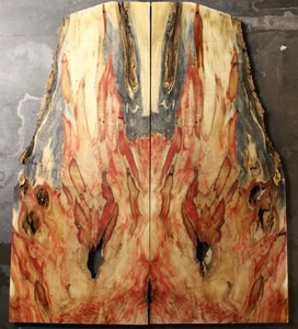 Curly red flame box elder maple drop top .43" thk bass guitar tonewood 2719 - Picture 1 of 12