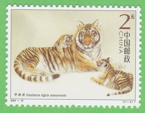 2004 TIGER w/ CUBS STAMP CHINA UNUSED POSTAGE ANIMAL KINGDOM CAT WILDLIFE MNH Cover