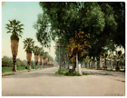 California, Riverside, Magnolia Avenue, West  Vintage Photochrom Print By Detroi