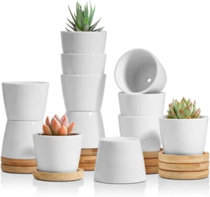 2.5 Inch Small White Succulent Planter Pots with Bamboo Tray round Set of 12, Ce - Picture 1 of 12