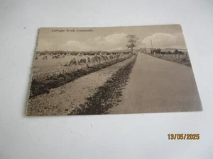 Carlogie Road, Carnoustie, Angus, Scotland, Vintage printed postcard - Picture 1 of 1