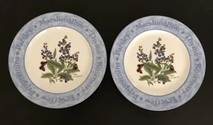 Set aus zwei (2) Royal Worcester Kräuter Salbei Salattellern 8 1/2" - Bild 1 von 5