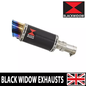 CB1000R Neo Sports Cafe 2018-2024 SC80 Exhaust Silencer Kit 200mm Round CL20R - Picture 1 of 6
