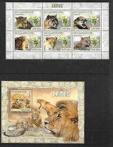 MOZAMBIQUE Sc 1757 NH MINISHEET+S/S of 2007 - WILD CATS