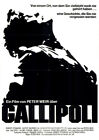 Gallipoli ORIGINAL A1 Kinoplakat Peter Weir / Mel Gibson / Mark Lee / Bill Kerr