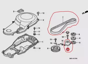 HONDA GENUINE OEM BF75A BF90A Timing belt 14400-ZW1-004 & 14510-ZW1-004 Set - Picture 1 of 5