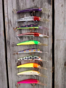 LOTTO DI 10 ESCHE WALLEYE BOMBER LONG A FUORI PRODUZIONE COLLEZIONE COLORI CALDI LOTTO #7 25A - Foto 1 di 4