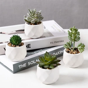 Modern Mini White Geometric Ceramic Artificial Succulent Plants Pots, Set of 4 - Picture 1 of 7