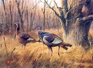 James Killen The Wary Ones-Wild Turkey Print SN AP 22.75 x 17 - Picture 1 of 1