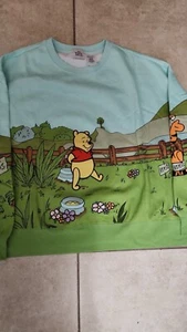 2024 Pooh fleece Pullover Crew Blue Sky 2XL Disneyland - Picture 1 of 14