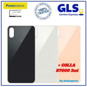 COVER VETRO POSTERIORE per APPLE IPHONE XS +COLLA B7000 3ML A1920 A2087 SCOCCA - Foto 1 di 5