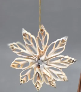 4 adornos navideños pintados a mano dólares de arena concha copo de nieve concha decoupaged - Imagen 1 de 11