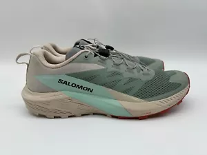 Salomon Sense Ride 5 Herren Laufschuhe Mehrfarbig EUR 46 - Bild 1 von 3