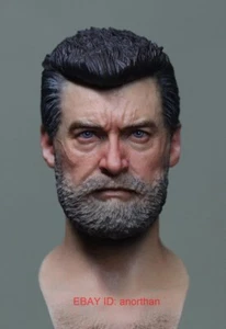 Custom Nancy X-Men Old Wolverine Hugh Jackman 1/6 Scale Male Figure Head Sculpt - Picture 1 of 6