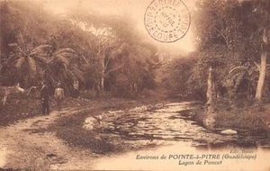 Guadeloupe - Environs de Pointe à Pitre - Lagond e Poncet - Ed. Boisel - Bild 1 von 2