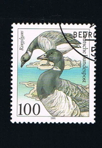 GERMANIA 1 FRANCOBOLLO UCCELLI BRANTA BERNICLA 1991 timbrato - Foto 1 di 1