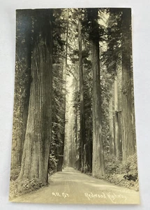 Vintage RPPC Postcard ~ Redwood Highway Dirt Road Real Photo View~ California CA - Picture 1 of 2