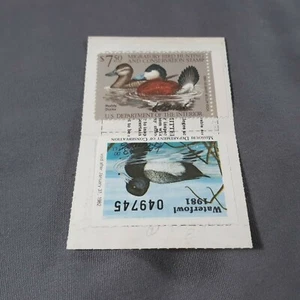 1981 MO Missouri Non-Resident Small Game Hunting License + Waterfowl Stamps - Picture 1 of 1