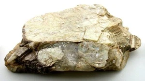 GROß 1260 Gramm 2 Pfund 12,4 Oz N Carolina Glimmer Quarz Kristall Probe EBS8573 - Bild 1 von 1