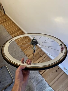 Campagnolo Shamal 2nd Generation 26“ (650C) Tubular Rear Wheel Titanium - Bild 1 von 12