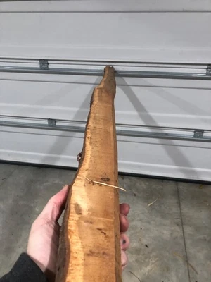 Pacific Yew bow stave, novo, personagem selvagem, exclusivo - Imagem 1 de 4