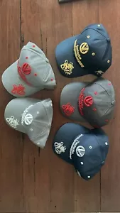 5F1 FORMULA ONE Hat MICHAEL SCHUMACHER Drag Complete Set Of 2010 Caps - Picture 1 of 7