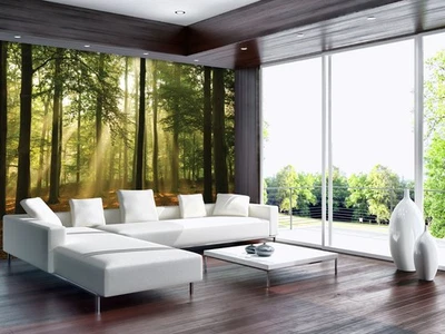 Papel Pintado Bosque para Dormitorio y Salón 368x254 cm Mural Completo Verde Foto 1 de 4