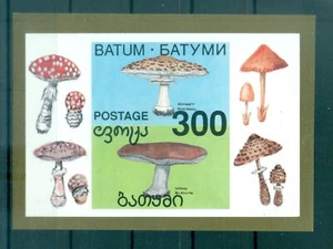 Batum 1995 - Funghi - Emissione non autorizzata - Imagen 1 de 1