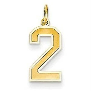 14K Oro Amarillo Corte Láser Mediano Número #2 Elegante Colgante Charm para - Imagen 1 de 1