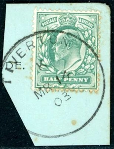 1903 GB Devon Tiverton Skelettstempel auf Stück - Bild 1 von 1