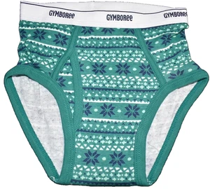 F7 !WOW! 2017 NWOT Gymboree Boys Size XS 4 HOLIDAY Cotton Briefs Underwear - Picture 1 of 1