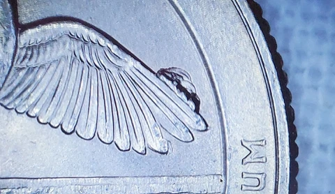 2018-P ATB Quarter Error - Huge Die Chip on wing. Cumberland Island GA Cover