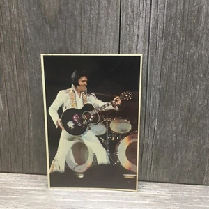 Elvis Presley Royal Memphis TN Mini Print Color Photo B11738 Duck Grob 1981 - Picture 1 of 12