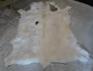 Wonderful White Superior Premium Quality Reindeer Pelt - Rare, Soft & Beautiful - Picture 1 of 7