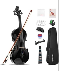 Nuevo Vangoa Negro 4/4 Violín Acústico Set Adulto Básico VV-4 Principiante Kit con Estuche - Imagen 1 de 12