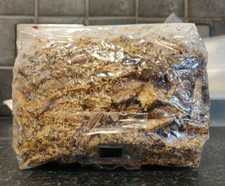 Injectable hardwood mushroom substrate grow bag *all-in-one* 500g - 1.5kg