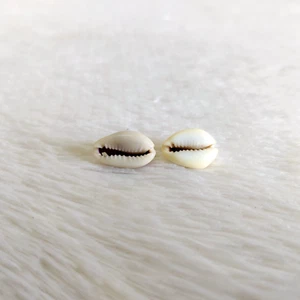 Vintage Two Pearled Beauty Natural Counch Shell Beach Decor Home Decorative - Picture 1 of 7