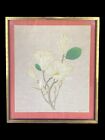 Asian Antique Watercolor Painting Rice Paper White Magnolia Flowers Signed Wang