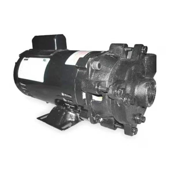 Dayton Cast Iron 1  Centrifugal Pump 115/230V 2ZWP5 Dayton 2ZWP5 190735241790 - Image 1 of 1