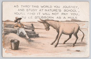 Comic Postcard Donkey Comics No 2266 Stubborn Mule Lesson Humor - Picture 1 of 3