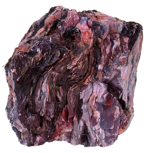 13 Pound 8 Ounce 7 1/4 Inch Arizona Rainbow Petrified Fossil Wood Rough SR28 - Picture 1 of 6