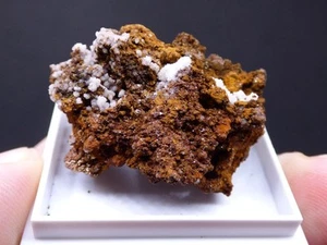 ✅ Mineralien ✅ 👉 Jarosite 👈 El Descuido Mi. - Almería - Andalusien - Spanien - 9J - Bild 1 von 11