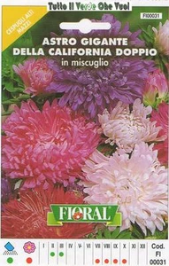 ASTRO GIGANTE DELLA CALIFORNIA - CESPUGLI ALTI E MAZZI-FLORAL - BUSTA SEMENTI - Imagen 1 de 1